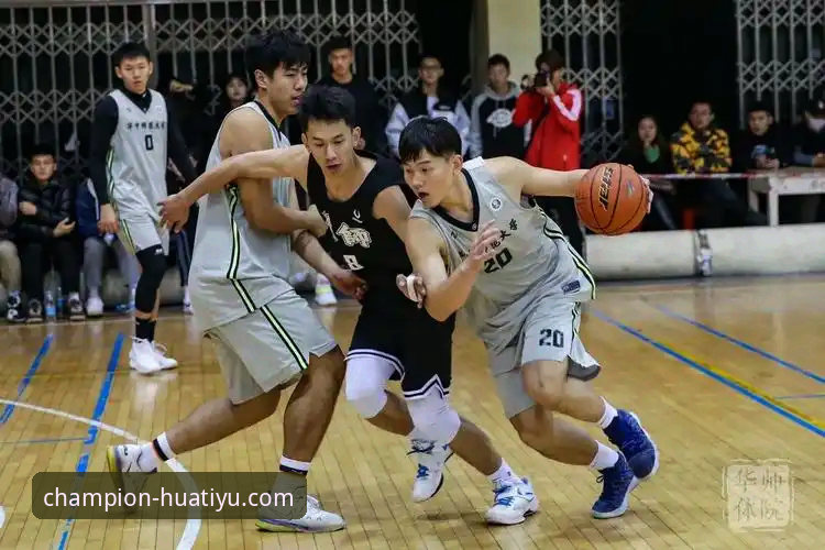 如何通过华体育登录入口，开启你的冠军之路？